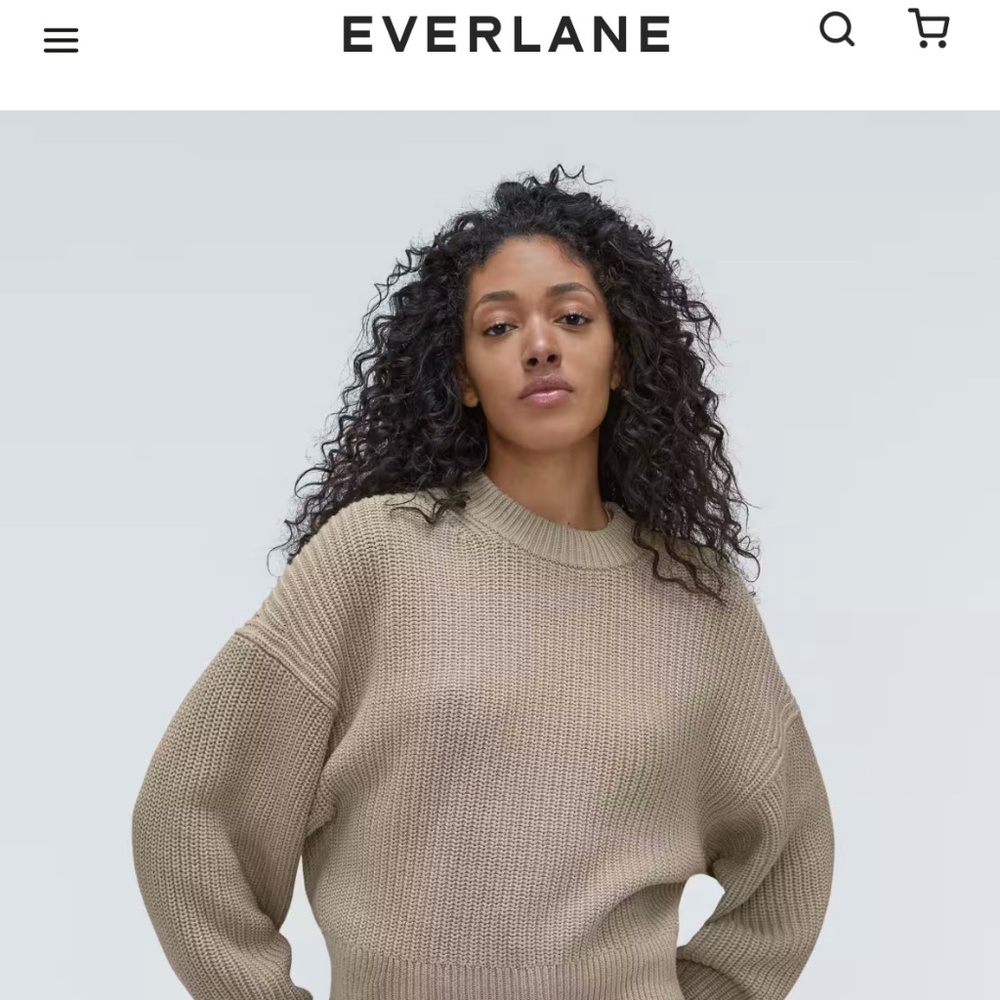 Everlane Cotton Crew Sweater *BNWT*